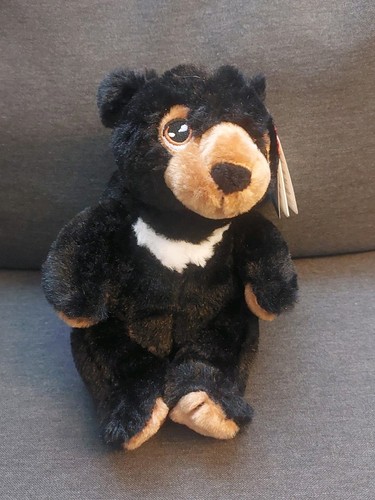 Keel toys black bear plush - keel,
