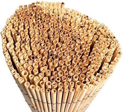 Extra thick reed bamboo - reed,