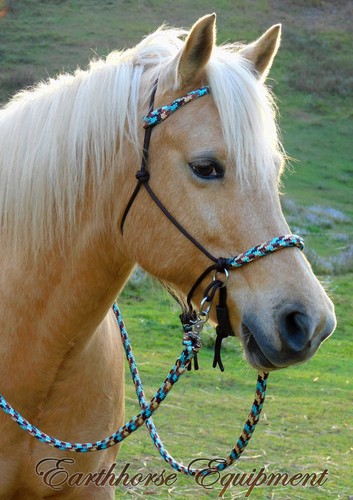 Earthhorse equipment base - equipment,