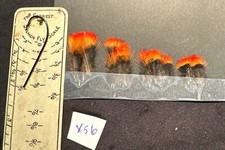 WINTER  SPECIAL INDIAN CROW  FEATHERS ASSORTMENT SALMON  FLY TYING LOT