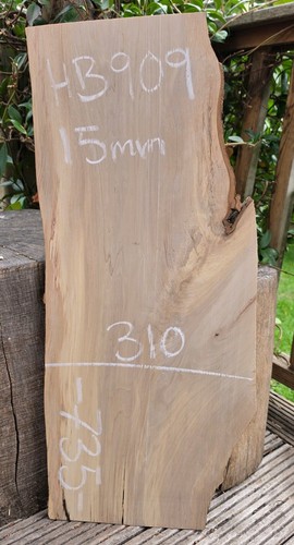 Hornbeam live edge slab - live,