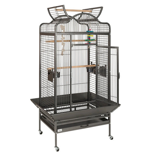 Large antique voyager parrot - antique,