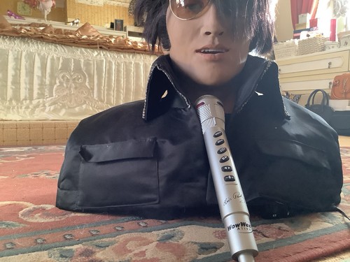 Wowwee alive elvis presley - alive,