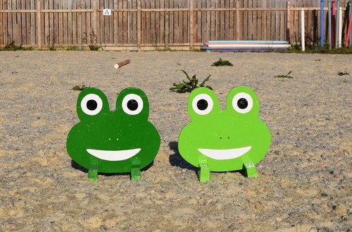 Frog show jump fillers horse - frog,