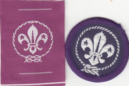 Boy scout badges world - boy,
