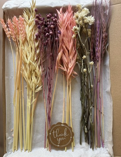 Posy bouquet stems dried - posy,