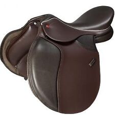 John Whitaker everyday GP