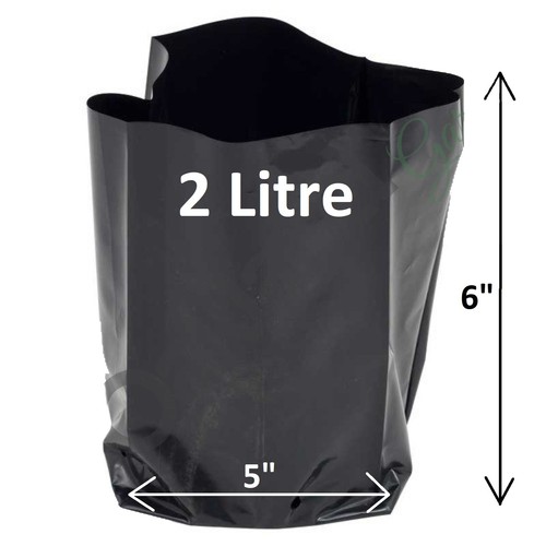 Litre poly plant - litre, pots