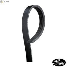 VRIBBED BELT 4PK813 FOR SUZUKI