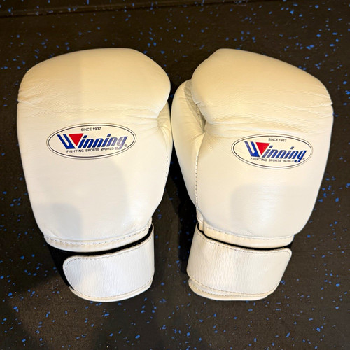 Winning training boxing gloves - training,