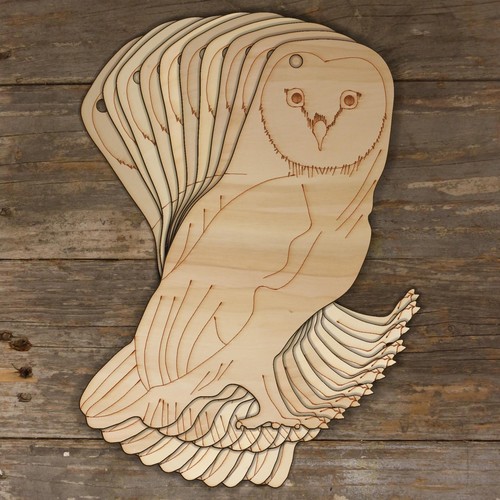 10x wooden barn owl perching - 10x,