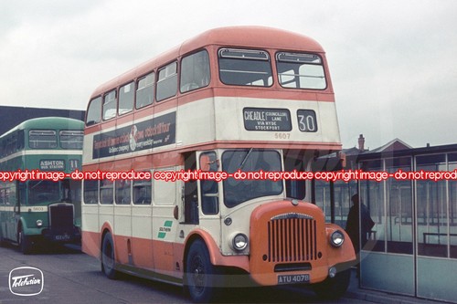 Bus photo selnec - bus, southern
