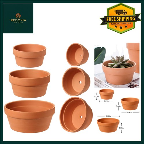 Terracotta clay plant pots - plant,