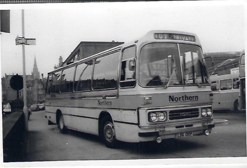 Bus photo lss135p - lss135p, alexander
