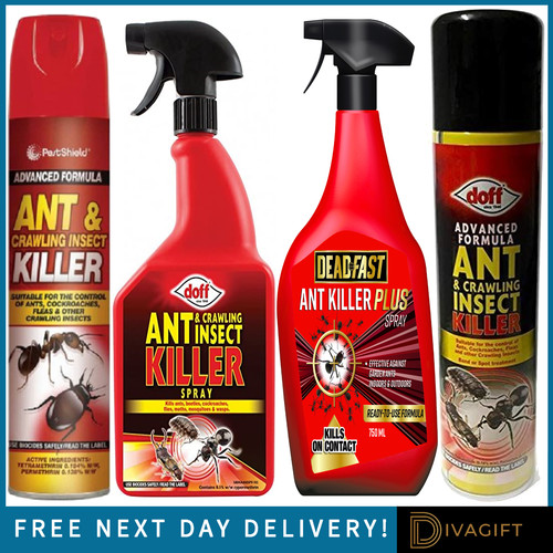 Ant insect killer - &,