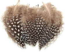 Morices Guinea Fowl Feathers, 100 Pack Natural Speckled Feathers for DIY Art