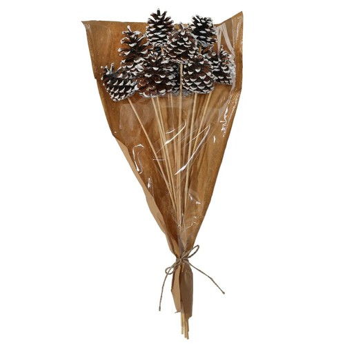 Pine cones picks - on, picks/sticks