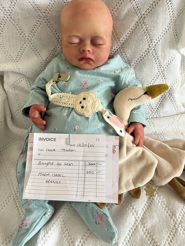 Full body silicone reborn baby - full,
