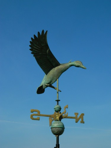 Large genuine verdigris - genuine,