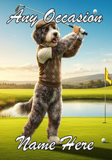 nai48 Bernedoodle play Golf