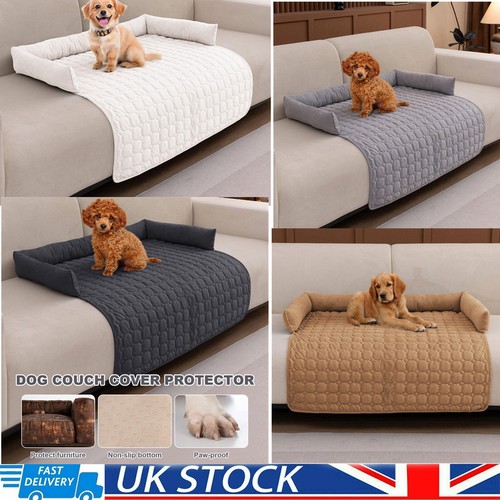 Dog cat sofa bed - cat,
