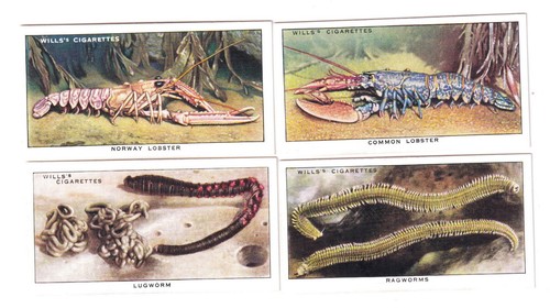 Four 1938 sea - 1938, cards