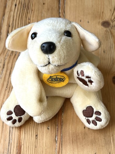 Cute labrador puppy dog - cute,