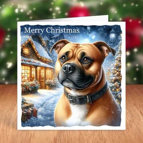 Staffordshire bull terrier - bull,
