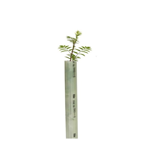 60cm 50mm tubex easywrap - 60cm, 50