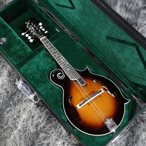 Epiphone inspired gibson - inspired,
