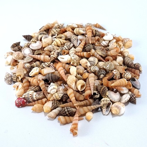 Assorted mixed mini craft - assorted,