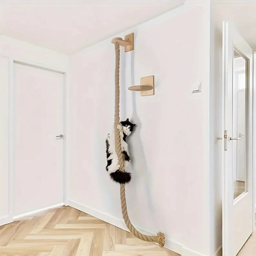 Wall mounted cat - wall,