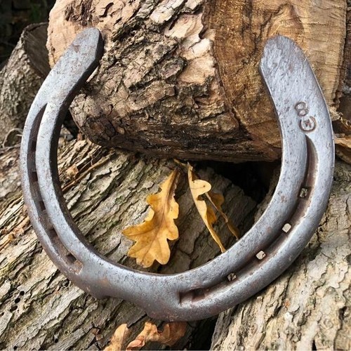 Horse shoe shire - shire, lucky