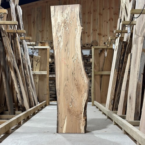Spalted beech plank board - spalted,