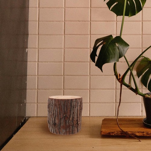 Natural stump ornament - stump, tree