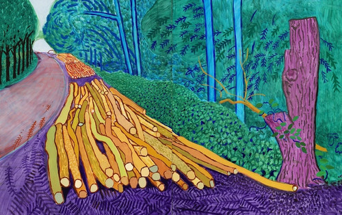 David hockney more - david,