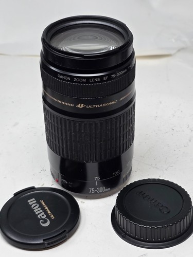 Canon ultrasonic 300mm - canon, 75-300mm