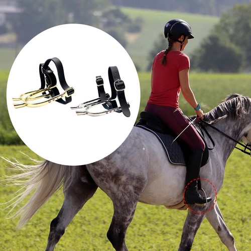 Horse with straps riding - horse, pu