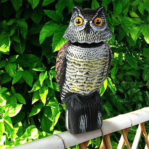 360 rotating owl decoy - 360°,