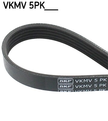 Skf multi drive belt - belt, for