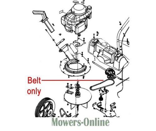 Billy goat belt 3v315 - goat,