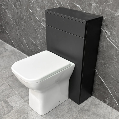 Back wall toilet - toilet, comfort