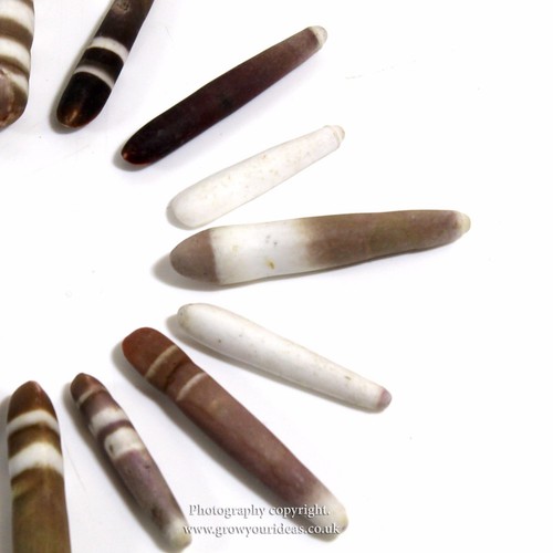 Sea urchin wands 75mm - sea,