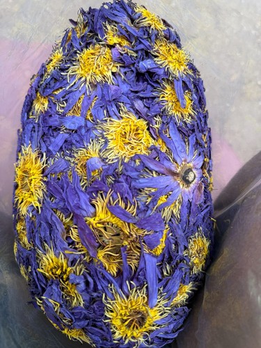 50kg dried blue lotus - blue,