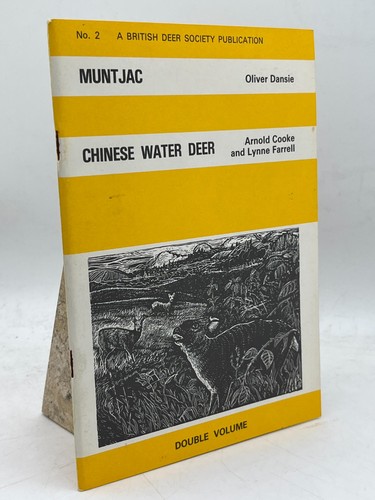 Muntjac chinese water deer - muntjac,
