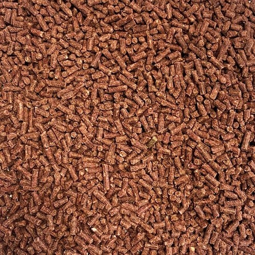 Carp bloodworm pellets - carp,