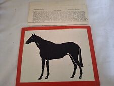 The Winner Children's Magic Trick by Supreme Magic Bideford Devon