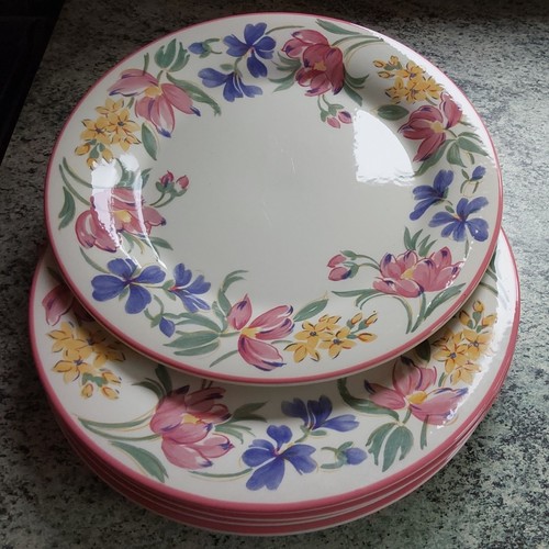 Staffordshire tableware - 5,