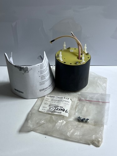 Endress hauser electronic - hauser,