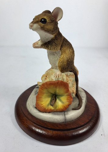 Splendid border fine arts - splendid,